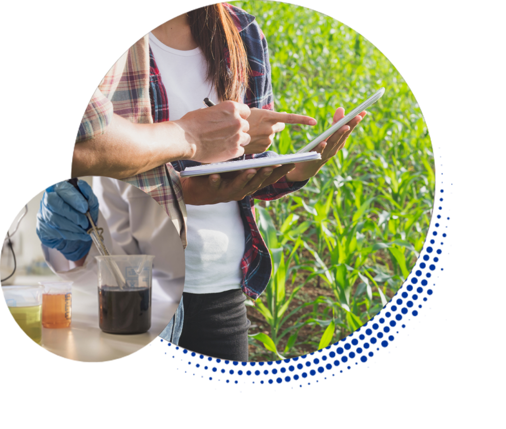Brandon Bioscience's key ingredients in research and development for sustainable farming.