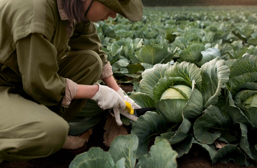 Impact of Sustainable Agriculture and Farming Practices l Brandon ...