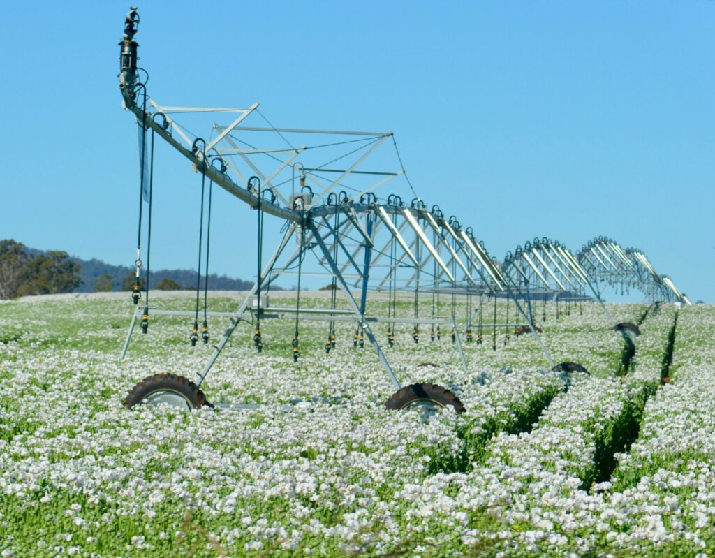 Agriculture Technology And Farming Ways In 2024 L Brandon Bioscience   Kshithij Chandrashekar UOHwCQdTEaw Unsplash 1 1024x799 