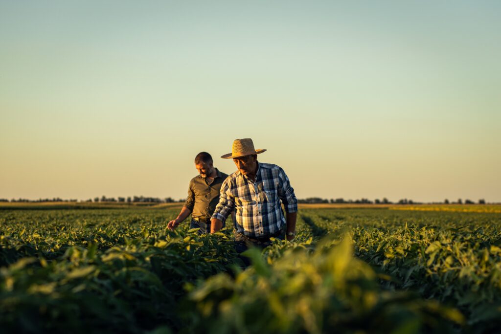 Two,Farmers,In,A,Field,Examining,Soy,Crop,At,Sunset.