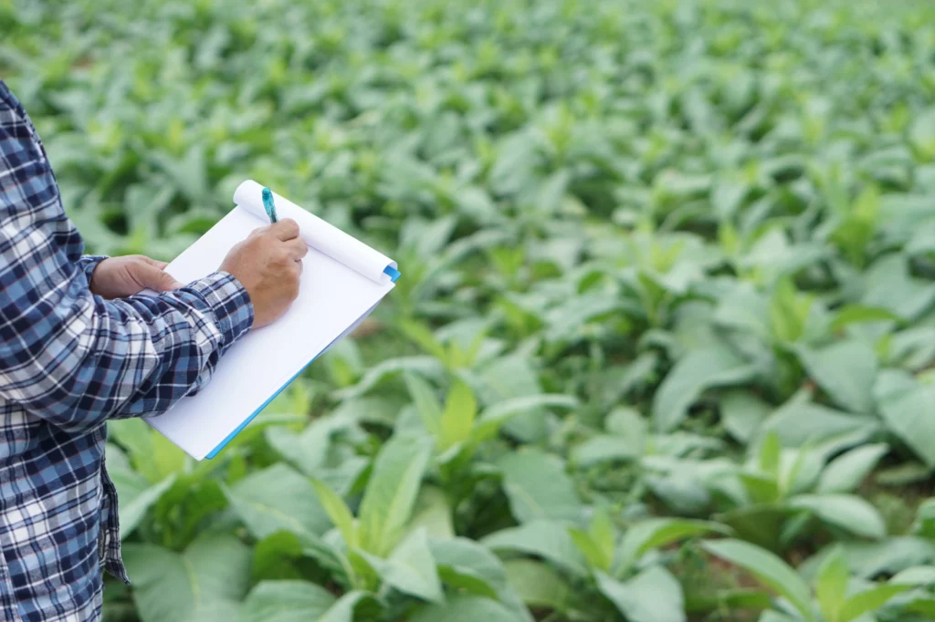 Why Field Trials Are Significant for Biostimulants.