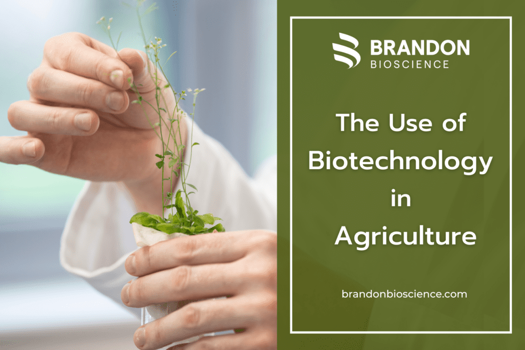 Biotechnology in Agriculture