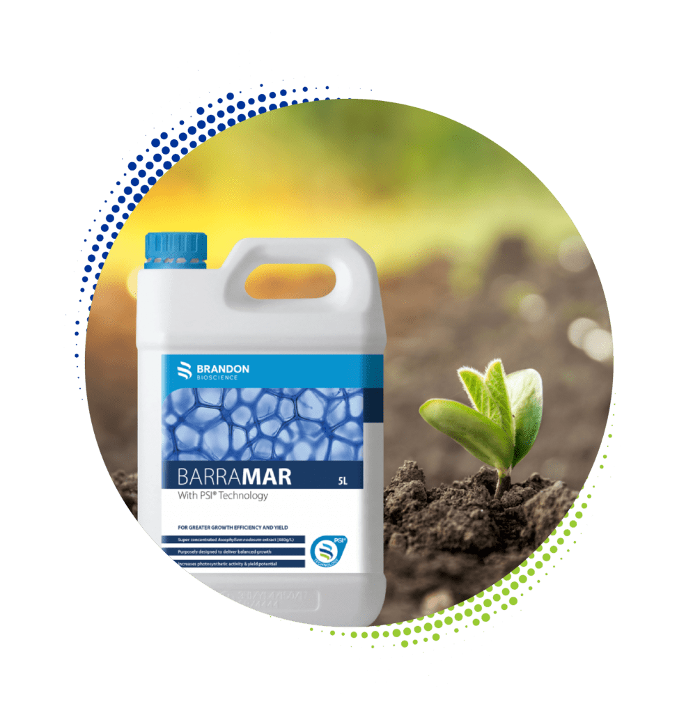 BARRAMAR®: Macro- and Micronutrient Uptake and Transport for Increased Crop Quality